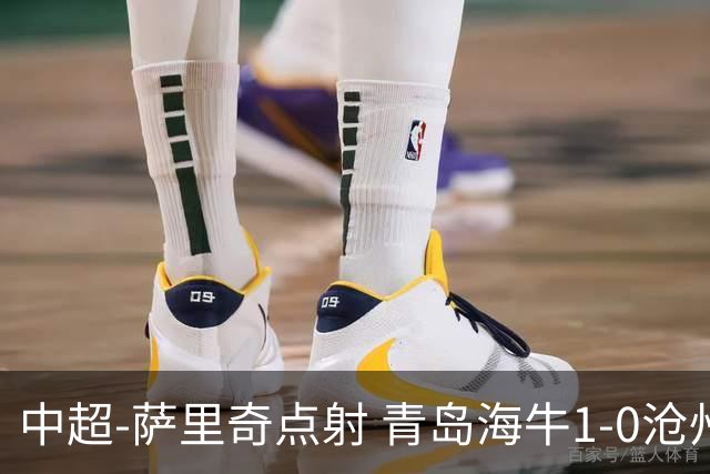 中超-萨里奇点射 青岛海牛1-0沧州雄狮携手保级